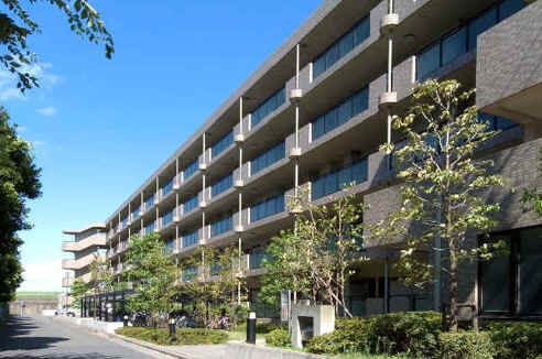 グラシア・フィス