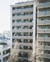 プロシード都立大学