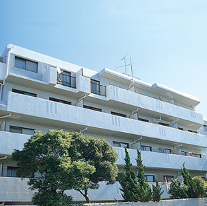 ヒルトップ横濱根岸